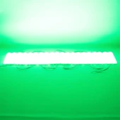 Powermaster 12 Volt 3.6 Watt Yeşil 2835 Mercekli Modül Led - 6