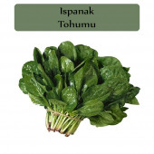 Ispanak Tohumu 1 Paket Matador Ispanak Tohumu Kapalı Paket Yüksek Verimli Tohum - 1