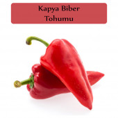 Kapya Biber Tohumu 1 Paket Yağlık Kapya Biber Tohumu Kapalı Paket Yüksek Verimli Tohum - 1