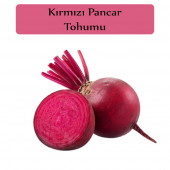Kırmızı Pancar Tohumu 1 Paket Pancar Tohumu Kapalı Paket Yüksek Verimli Tohum - 1