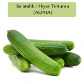 Salatalık Tohumu Beith Alpha 1 Paket Hıyar Tohumu Kapalı Paket Yüksek Verimli Tohum Salatalık - 1