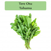 Tere Tohumu 1 Paket  Tere Otu Tohumu Geniş Yapraklı Tere Kapalı Paket Yüksek Verimli Tohum - 1