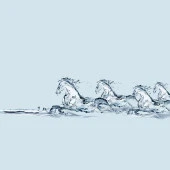 Baskılı Fon Perde Bir Grup At Görseli Su Etkili Desenli thumbnail 6