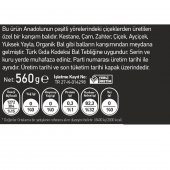 Elvan Çiçek Balı 560 Gr - 3