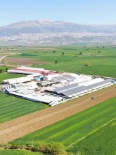 Sade Yağ 300 Gr - 3