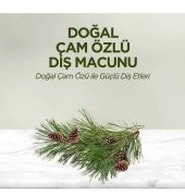 Eyüp Sabri Tuncer Diş Macunu Doğal Çam Özlü 90ml - 3