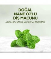 Eyüp Sabri Tuncer Diş Macunu Doğal Nane Özlü 90ml - 3