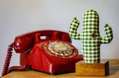 Kayıgo Cactus Lavanta Dolgulu Notluk - Yeşil Pötikare - 3
