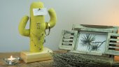 Kayigo Cactus XL Lavanta Dolgulu Notluk - 2