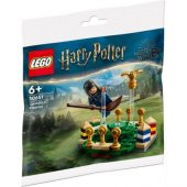 LEGO Harry Potter 30651 Quidditch™ Antrenmanı Polybag (55 Parça) thumbnail 1