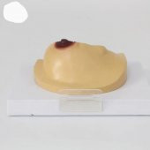 Göğüs Maketi Model 42 - 3