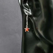 925 Ayar Gümüş Yıldız Model Sentetik Yakut Taşlı Küpe thumbnail 4