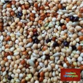 Karısık Muhabbet Kusu Yemı 400 Gr Açık - 1