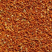 Kızıl Darı Kırmızı Darı Kuş Yemi Dökme 180 Gr - 1