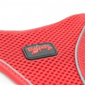 Tailpetz Air Mesh Harness Göğüs Tasması Neon Kırmızı Large - 11