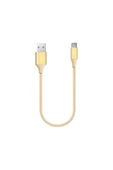 Ttec AlumiCable Type-C Kablo Altın 30cm - 2DK26A - 2