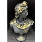 APOLLON-HK102-5 - 2