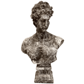 DAVUT-HK103-37 thumbnail 1