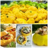 Sarı İstiridye Kabak Tohumu - 4