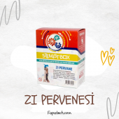 ZI Pervanesi Proje Kiti 4 - 14 Yaş - 1