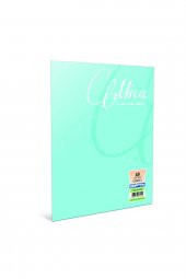 Gıpta Mıca A4 100 Yaprak Çizgili Tel Dikişli Defter - 1