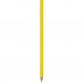Bic Kids Tropicolors Kuru Boya Kalemi 12 Renk Uzun Tam Boy - 2
