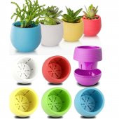 5 Adet Saksı Kaktüs Saksısı Elvan Saksı Minik Küçük Karışık Renkli Saksı 0,13 Litre - 1