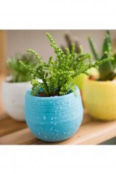 3 Adet Saksı Kaktüs Saksısı Elvan Saksı Minik Küçük Karışık Renkli Saksı 0,13 Litre - 3