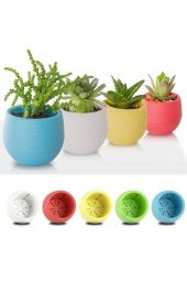 3 Adet Saksı Kaktüs Saksısı Elvan Saksı Minik Küçük Karışık Renkli Saksı 0,13 Litre - 4