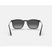 Rayban Rb4187  Chris  622/8G  54&18 145   Unisex Güneş Gözlüğü - 4