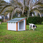 MANDU Standart Köpek Kulübesi - 1