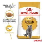 Royal Canin British Shorthair Adult 2 Kg - 1
