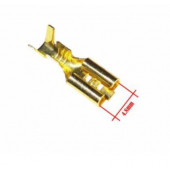 4.8 mm (Dişi) İzolesiz Kablo Ucu (10 Adet) - 1