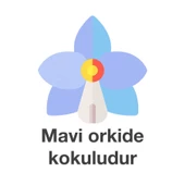 Deep Fresh Maxi Pack Islak Mendil Orkide 144 Yaprak thumbnail 8