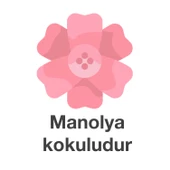Deep Fresh Maxi Pack Islak Mendil Manolya 144 Yaprak - 4