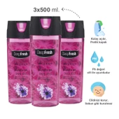 Deep Fresh Pratik Kapaklı Kadın Duş Jeli Juicy Lady 3 x 500 ml - 2