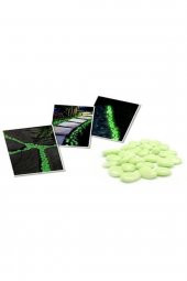 Gece Karanlıkta Işık Vererek Parlayan Dekoratif Çakıl Taşları - 1