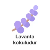 Deep Fresh Maxi Pack Islak Mendil Lavanta 5 x 144 Yaprak thumbnail 5