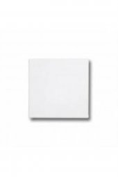 Mini Tuval 10x10 Cm Küçük Boy Resim Tuvali - 1 Adet - 1