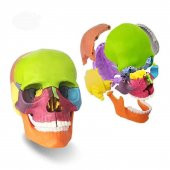 Kafa Maketi 15 Parça Küçük Boy Model 34 - 3