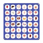 Mavi Ahşap MDF Eşleştirme Hafıza Oyunu 34x34 - 4