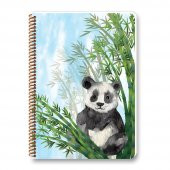 Keskin Color A4 Bambu Plastik Kapak 100 Yaprak Kareli Spiralli Defter - 1