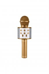 Lera Accessories Karaoke Mikrofon - 1