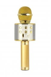 ws858 Evr Krk 02 Karaoke Mikrofon Bluetooth Aux Usb Sd Kart Girişli Gold - 1