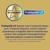 Bebelac Gold 3 Çocuk Devam Sütü 350 gr - 3