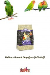 Cennet - Sultan Papağanı Çekirdeği Çizgili 500 Gr - 1