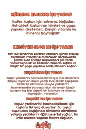 Kuş Kalsiyum / Kil / Kömür / Mineral Blok Set 4 Adet - 2