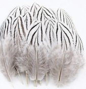 Doğal sülün şapka tüyü Beyaz-Siyah - 1