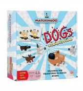Matchingoo Eşleştirme Ve Hafıza Kartları : Meslekler - 3