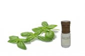 Reyhan Buhar Distile Ocimum Basilicum Natürel Koku 1ml - 1